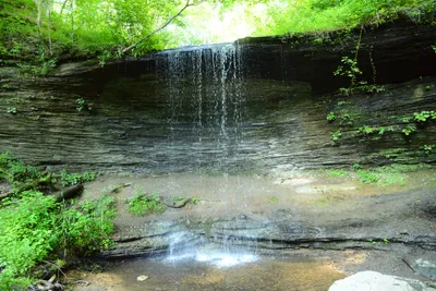 DSC_2847 (Large).JPG